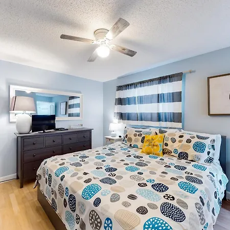 Tropical Paradise Clearwater Beach Room photo