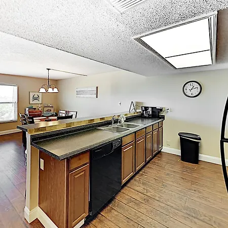 Tropical Paradise Clearwater Beach Room photo