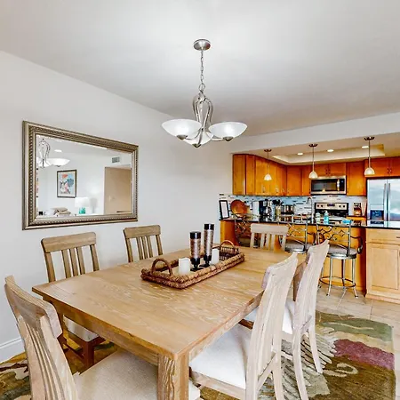 Tropical Paradise Clearwater Beach Room photo