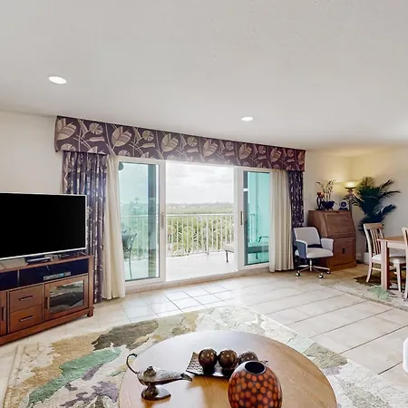 Tropical Paradise Clearwater Beach Room photo